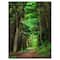 Designart - Dreamy Greenery in Dense Forest - Forest Canvas Art Print